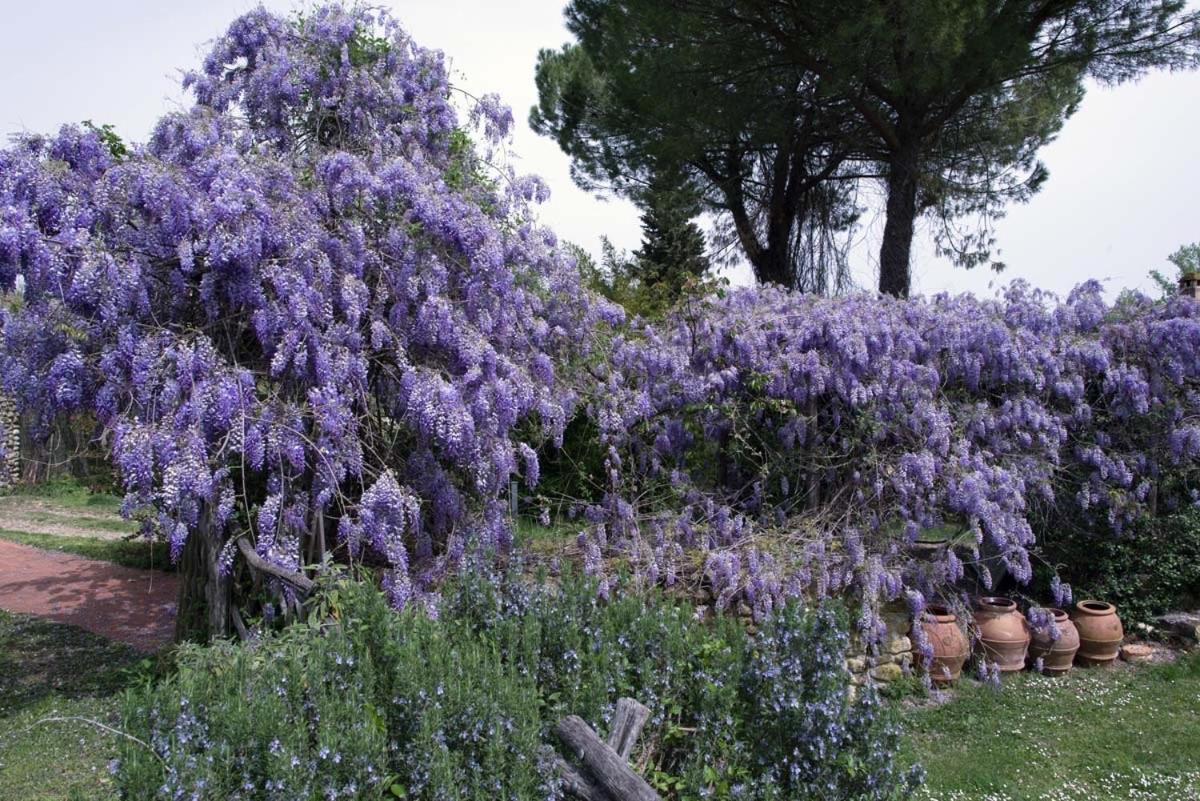 Molino In Chianti Βίλα Mercatale Val Di Pesa Εξωτερικό φωτογραφία